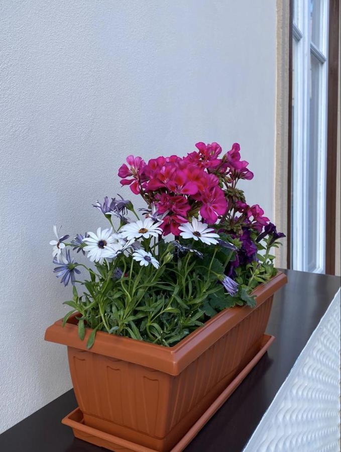 Il Gallo Di Eracle - Charming Suites & Rooms Термини-Имерезе Экстерьер фото